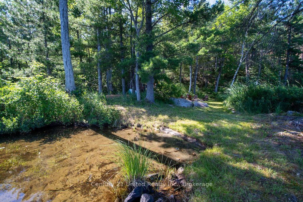 Photo 36 of 174 Fire Route 55, North Kawartha — HOMEH