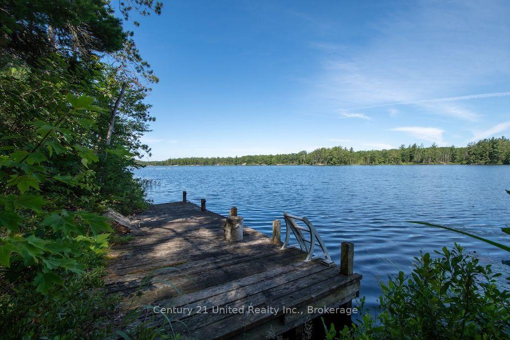 Photo 39 of 174 Fire Route 55, North Kawartha — HOMEH