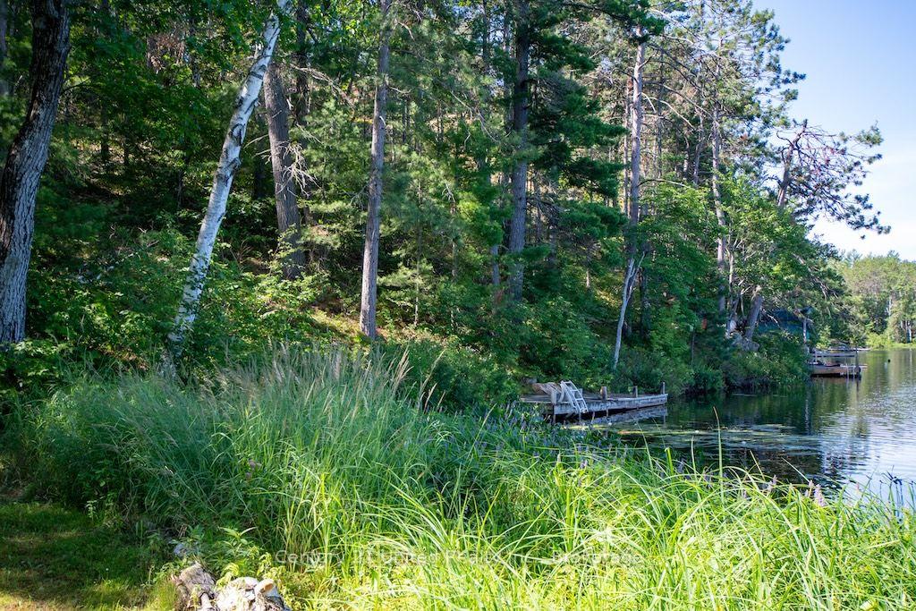 Photo 40 of 174 Fire Route 55, North Kawartha — HOMEH
