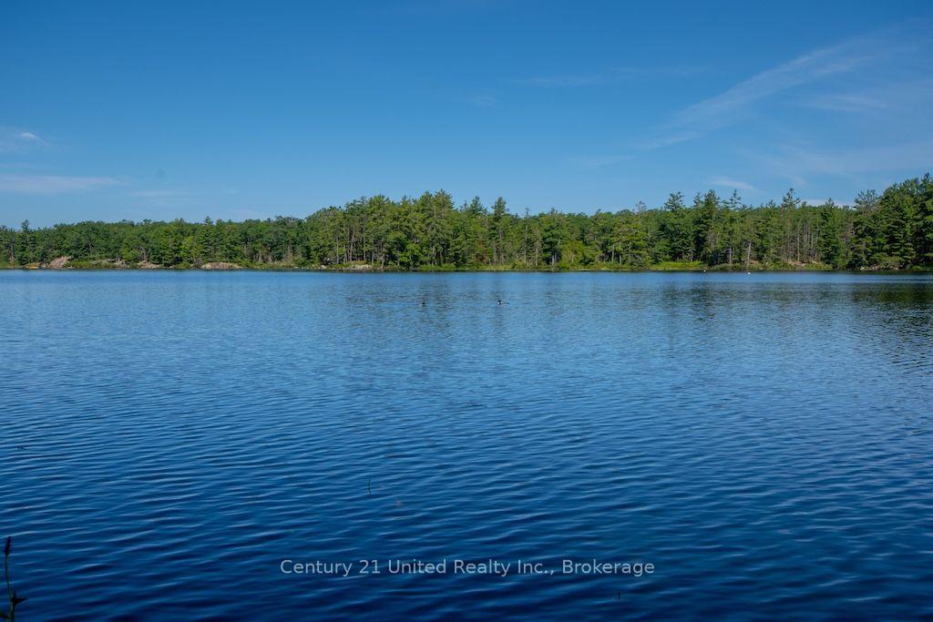 Photo 41 of 174 Fire Route 55, North Kawartha — HOMEH