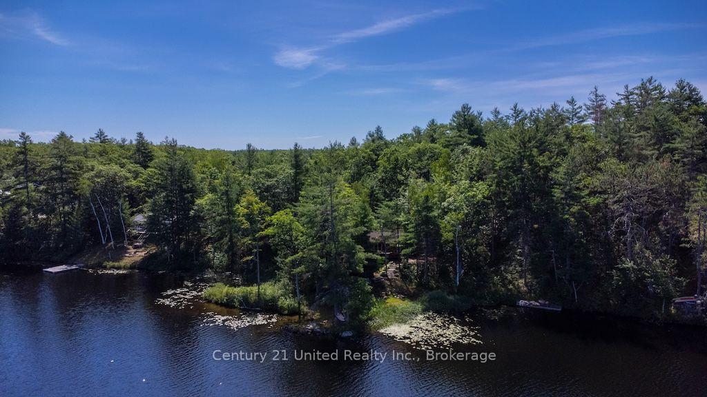 Photo 43 of 174 Fire Route 55, North Kawartha — HOMEH