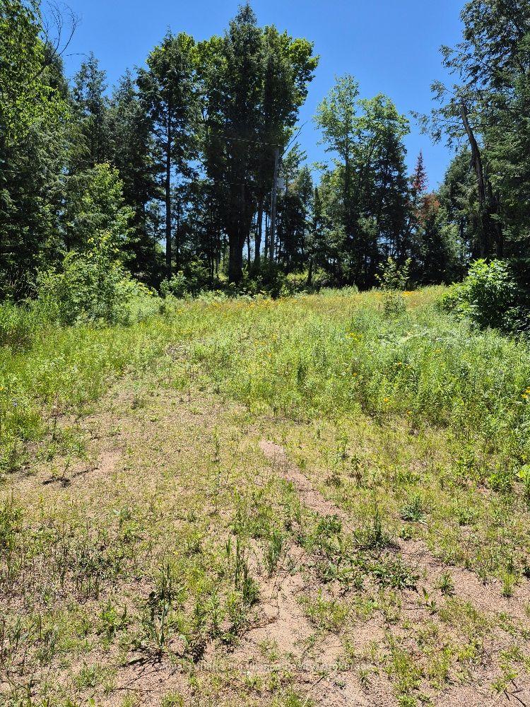 Photo of Lot 15 North Steenburg Lake Road