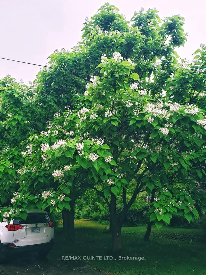 Photo 33 of 163 Main Street, Prince Edward County, Bloomfield Ward — HOMEH