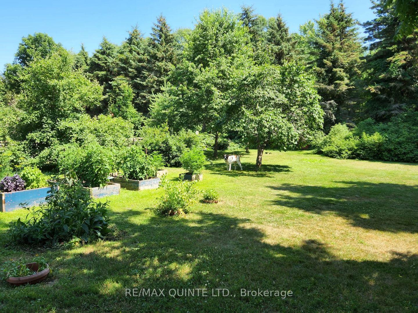 Photo 34 of 163 Main Street, Prince Edward County, Bloomfield Ward — HOMEH