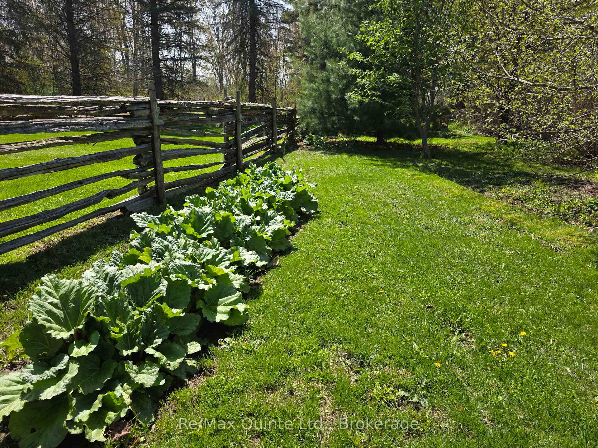 Photo 37 of 163 Main Street, Prince Edward County, Bloomfield Ward — HOMEH