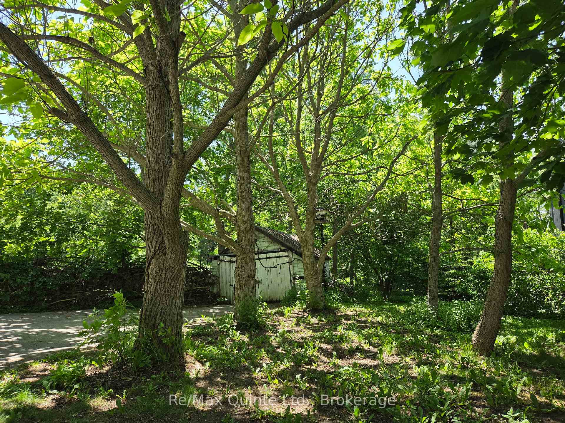 Photo 41 of 163 Main Street, Prince Edward County, Bloomfield Ward — HOMEH