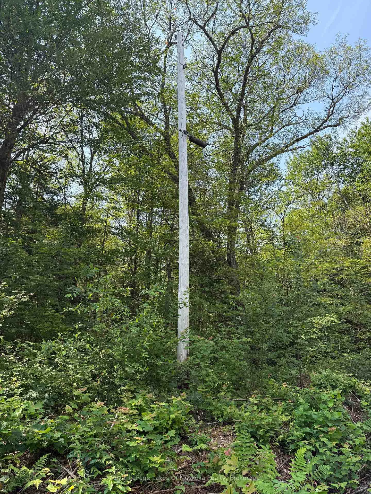 Photo 7 of Stoney Road, Ryerson — HOMEH