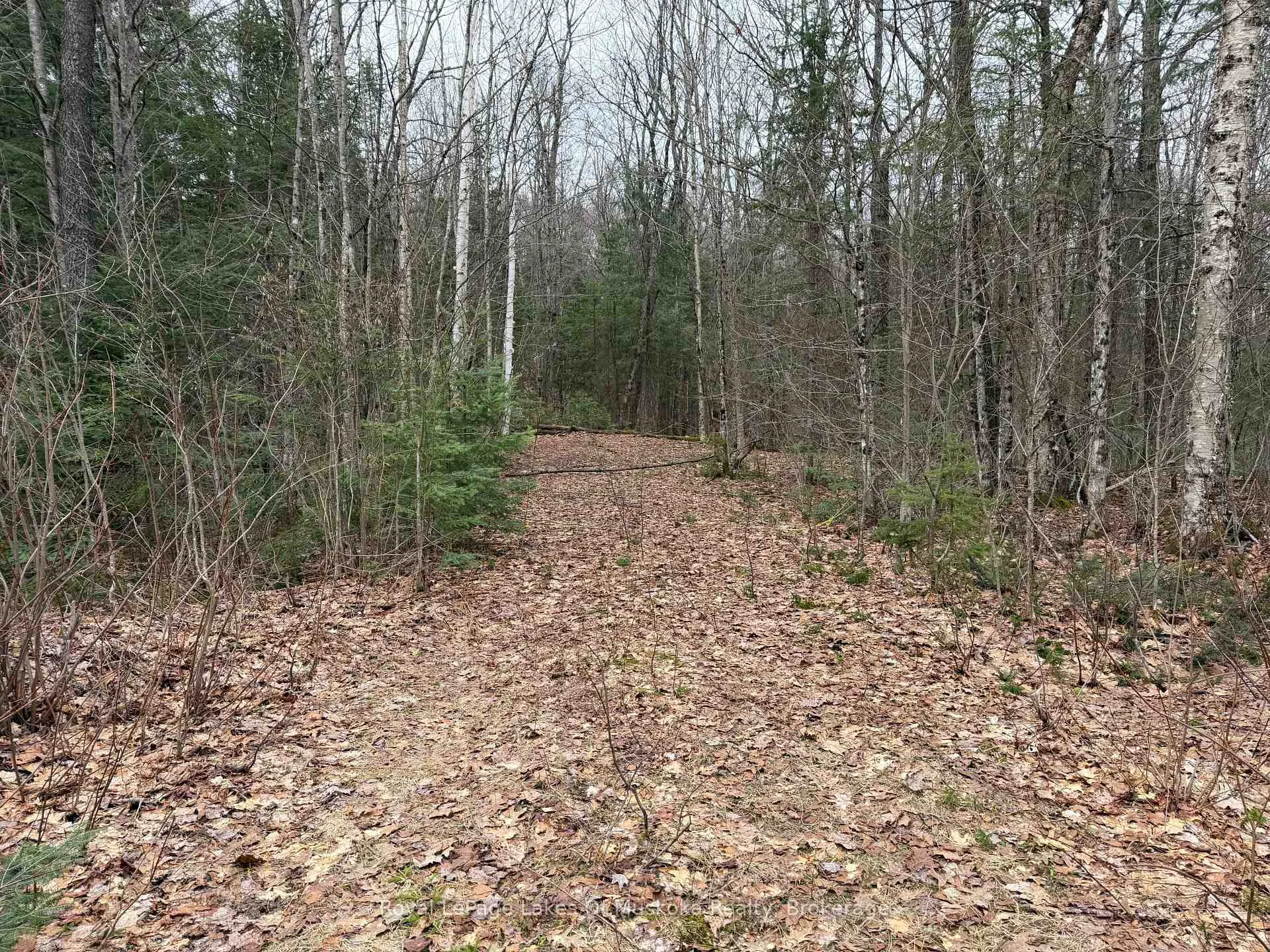 Photo 5 of Stoney Road, Ryerson — HOMEH