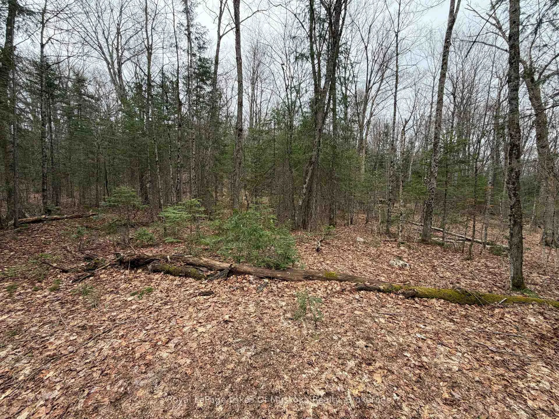 Photo 13 of Stoney Road, Ryerson — HOMEH