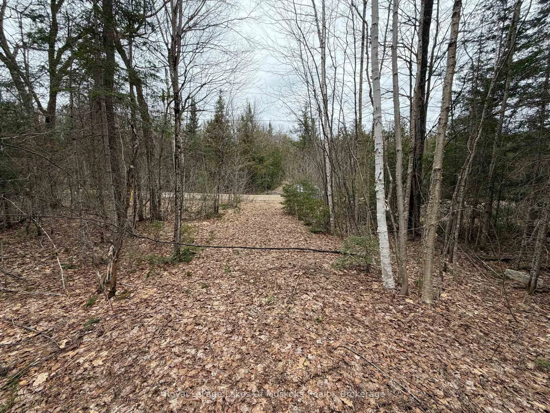 Photo 16 of Stoney Road, Ryerson — HOMEH