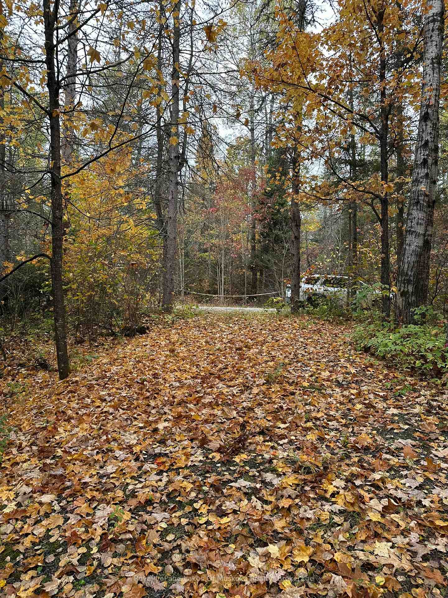 Photo 10 of 77 Grindstone Road, Magnetawan — HOMEH