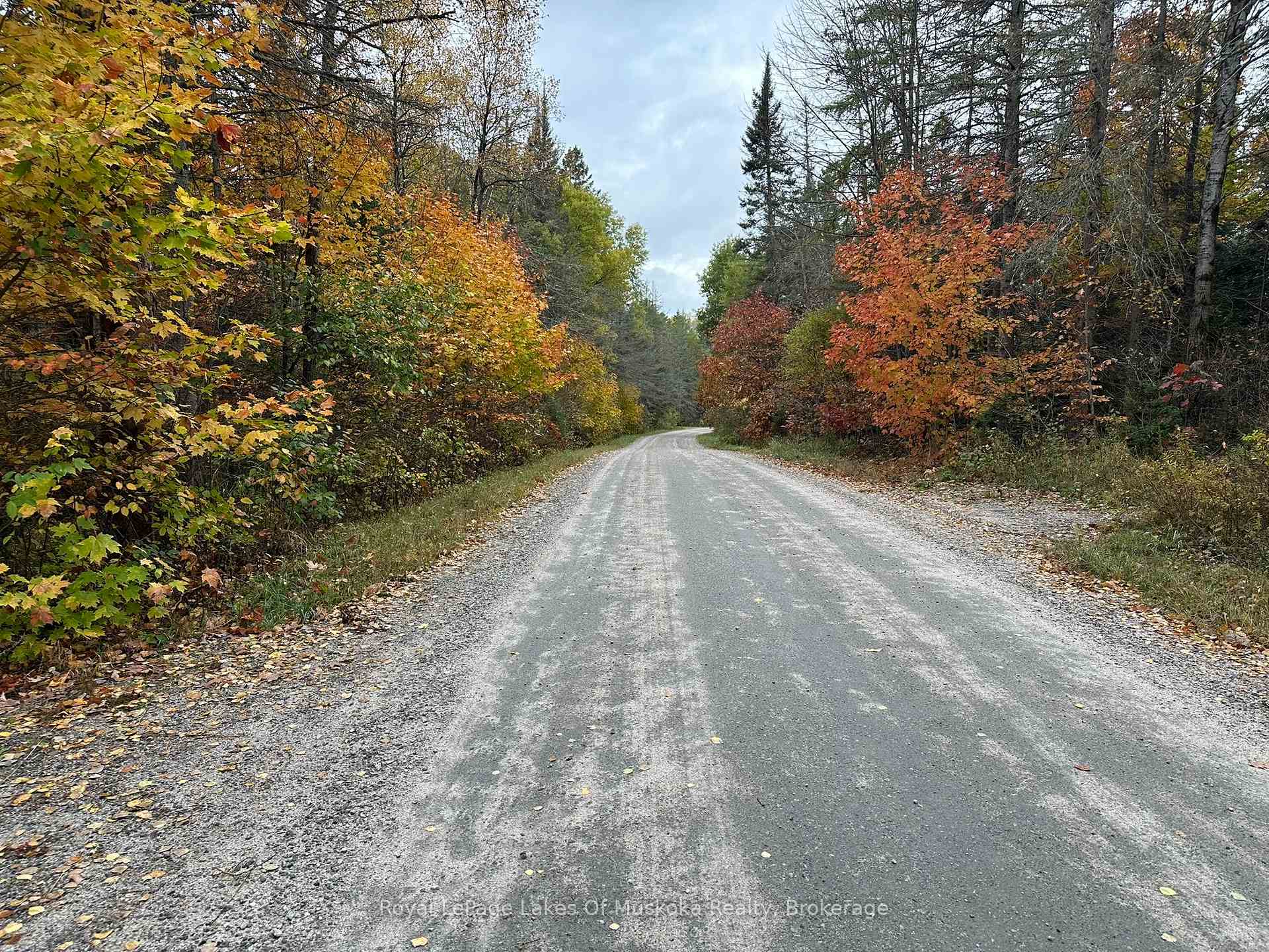 Photo 11 of 77 Grindstone Road, Magnetawan — HOMEH