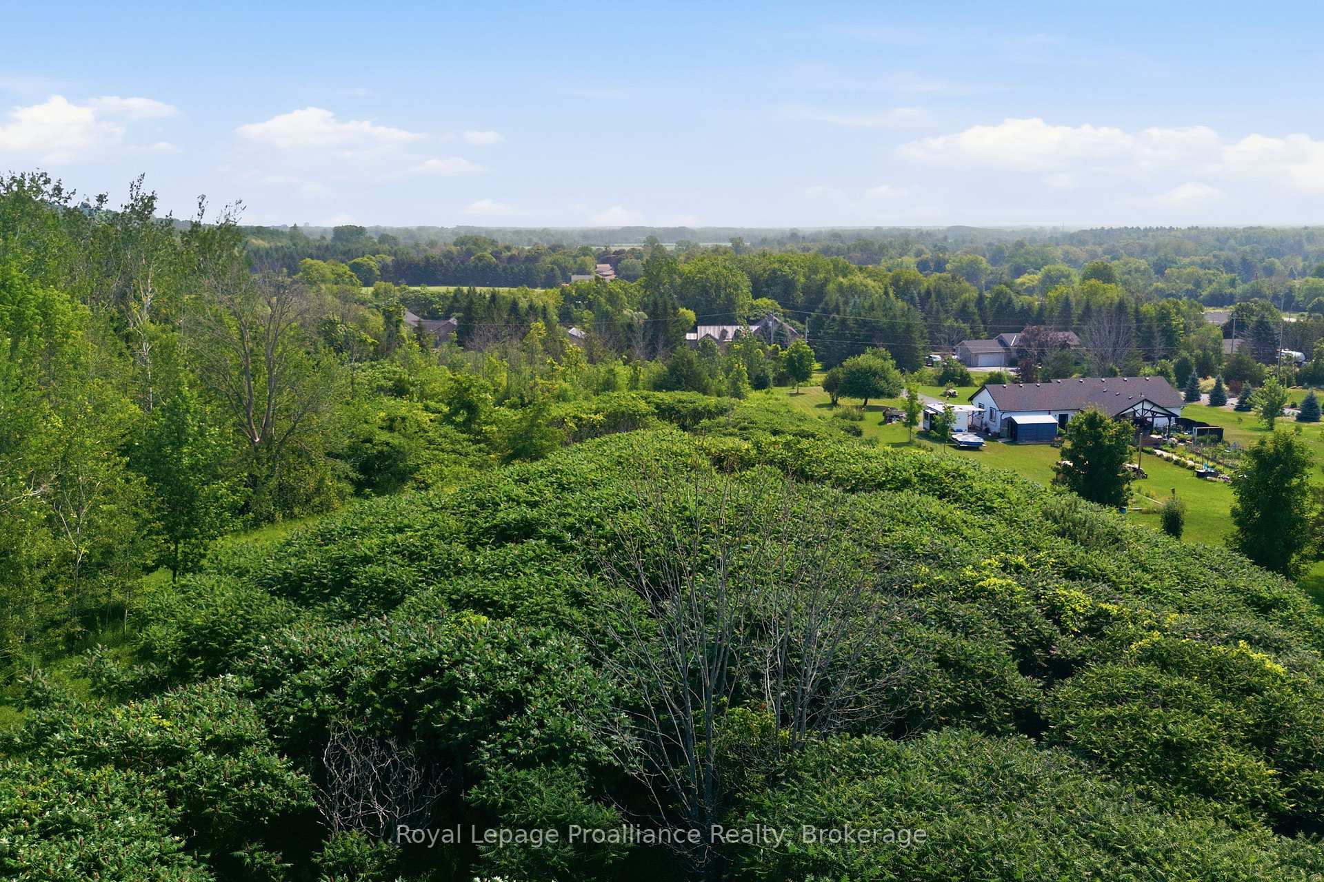 Photo 13 of Lisgar Street, Brighton, Rural Brighton — HOMEH