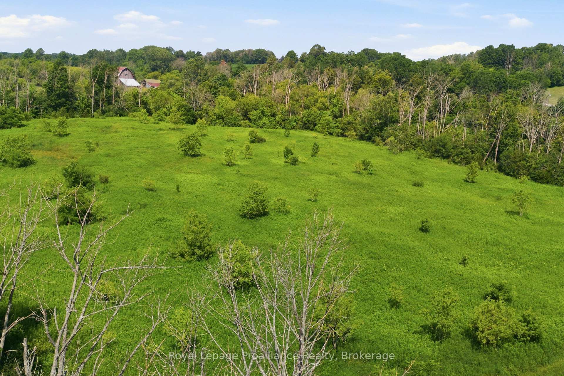 Photo 22 of Lisgar Street, Brighton, Rural Brighton — HOMEH