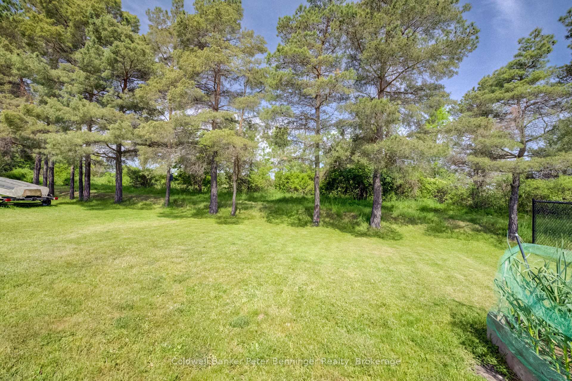 Photo 7 of 33 Dove Road, Brockton — HOMEH