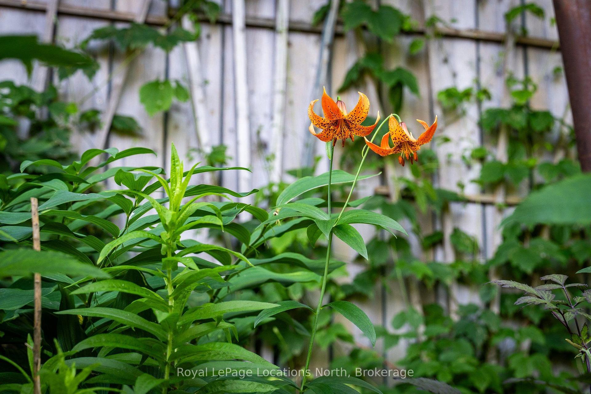 Photo 32 of 317 Second Street, Collingwood — HOMEH