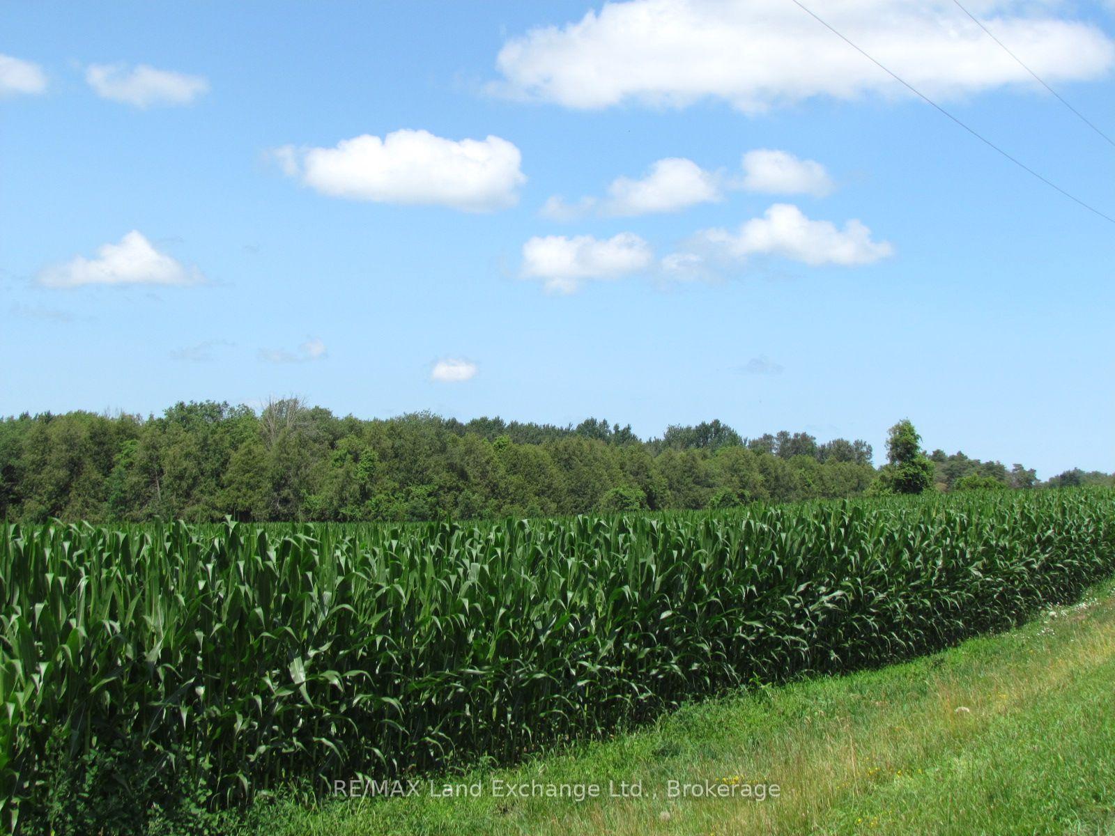 Photo 3 of 15 10B Side Road, South Bruce — HOMEH