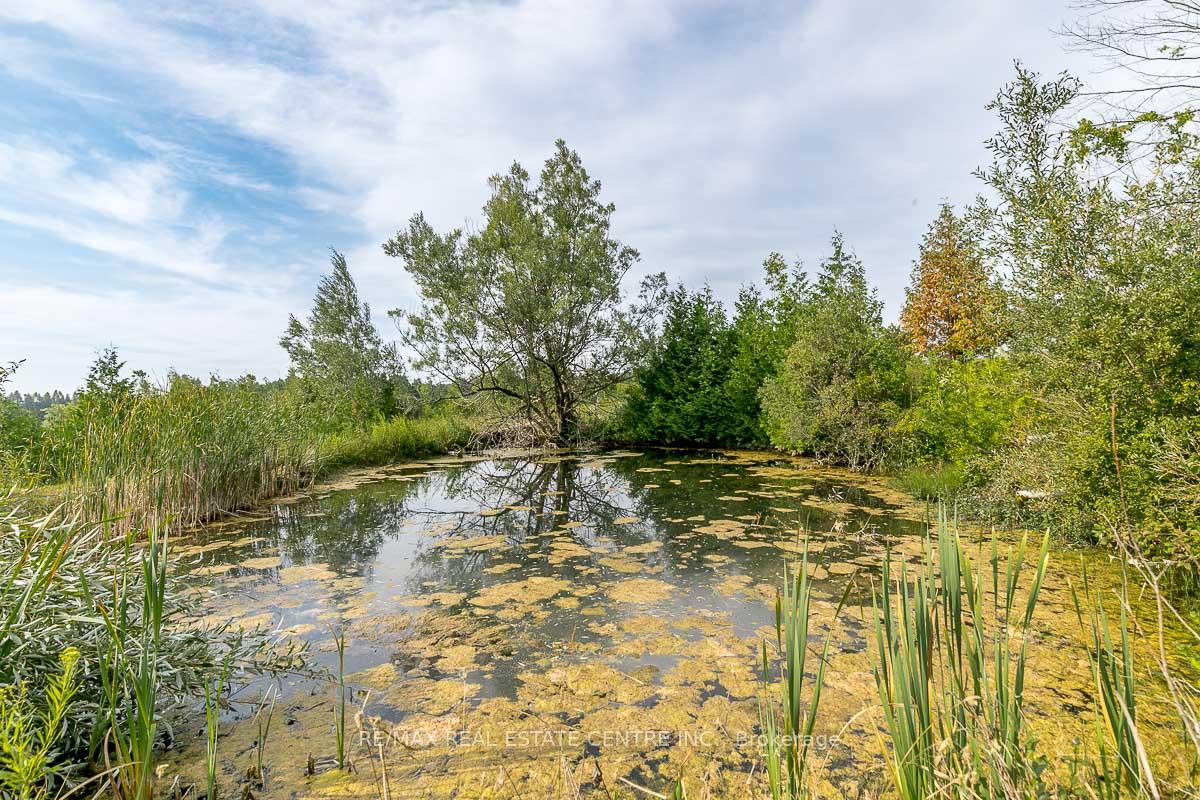 Photo 10 of Shaws Creek Road, Caledon, Rural Caledon — HOMEH