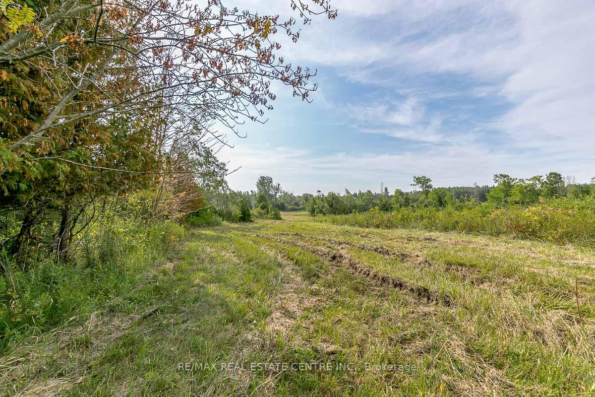 Photo 11 of Shaws Creek Road, Caledon, Rural Caledon — HOMEH