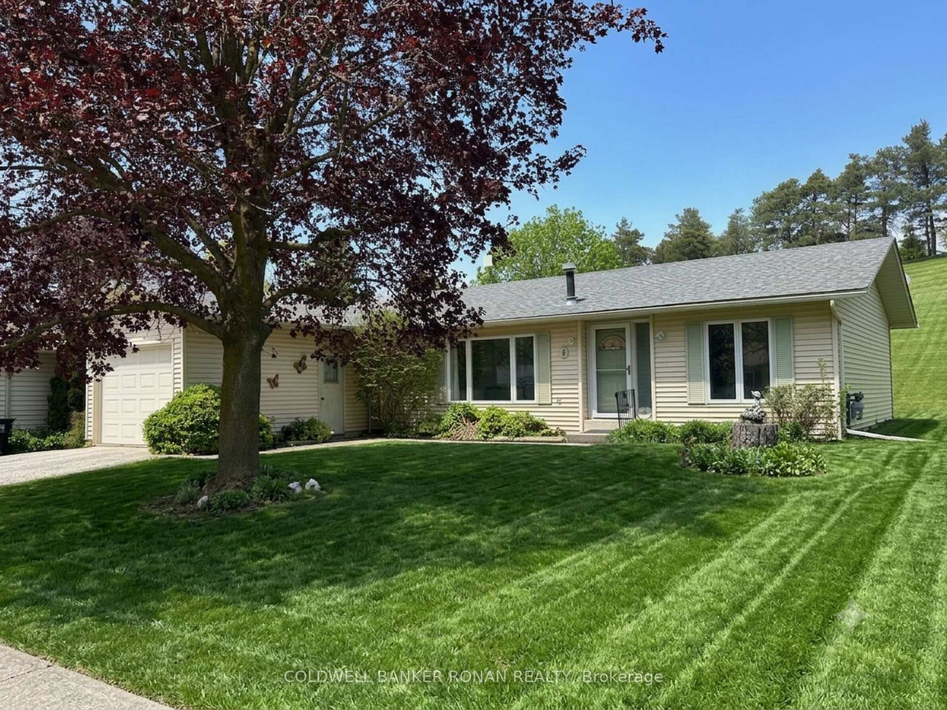 Photo 1 of 4 Tecumseth Pines Drive, New Tecumseth, Rural New Tecumseth — HOMEH