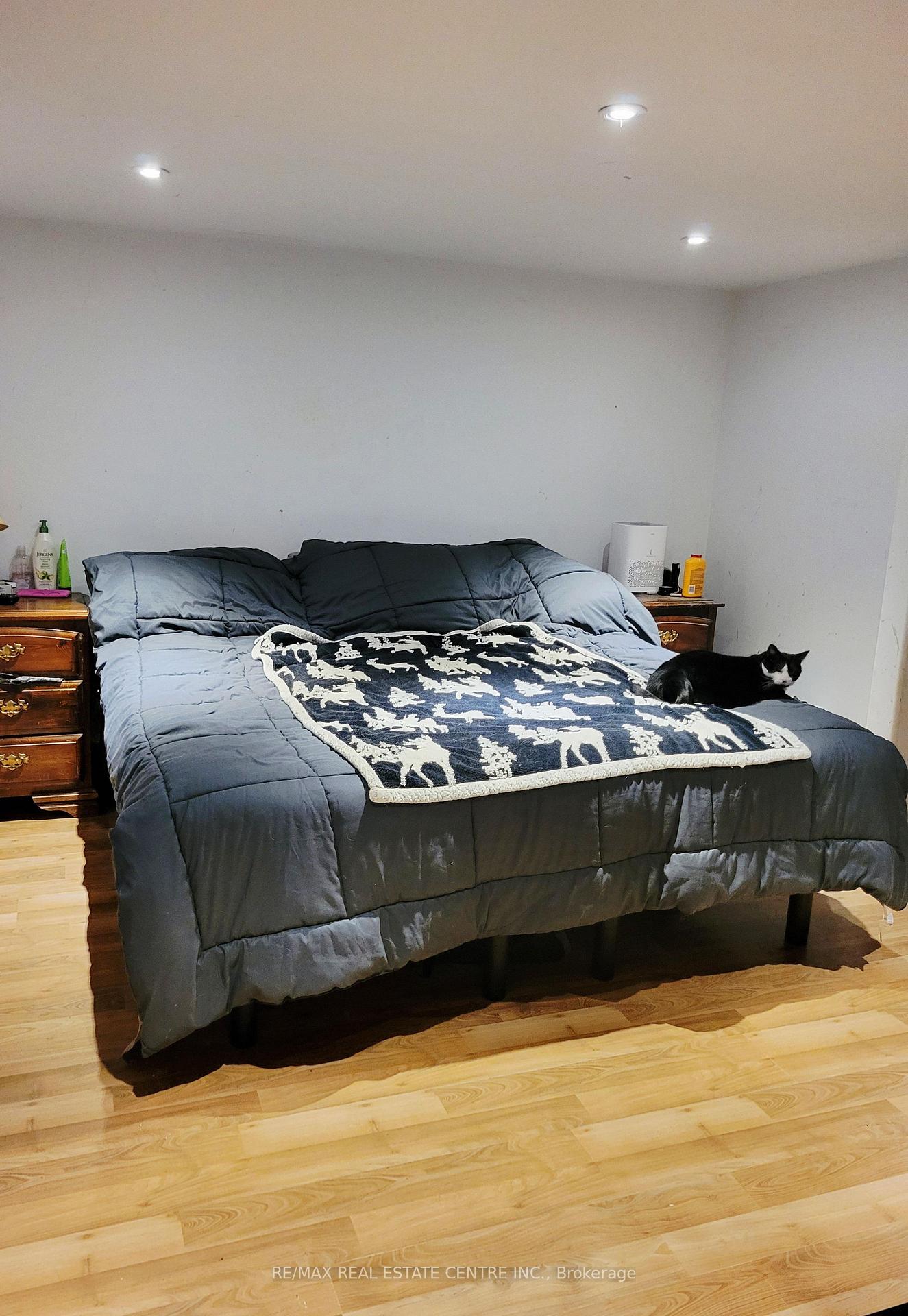 Photo 8 of 127 Hunter Street, Grey Highlands — HOMEH