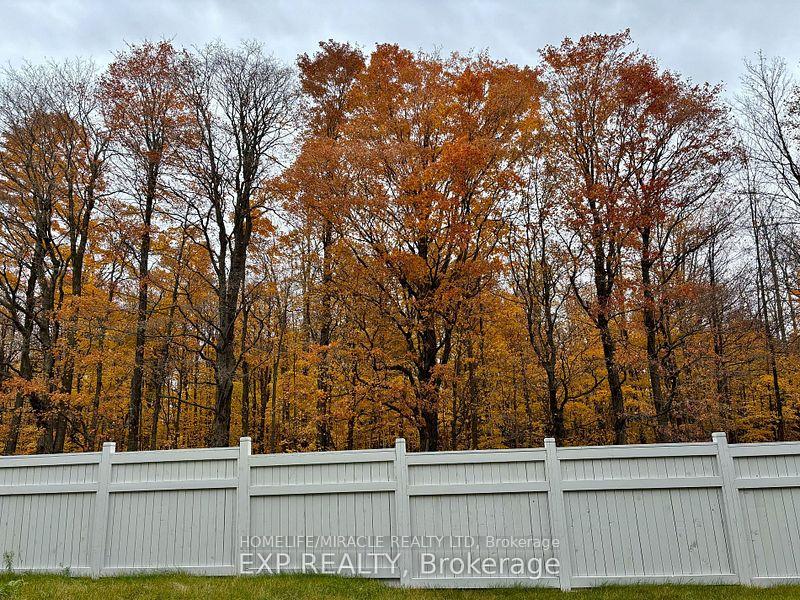 Photo 32 of 488 Black Cherry Crescent, Shelburne — HOMEH