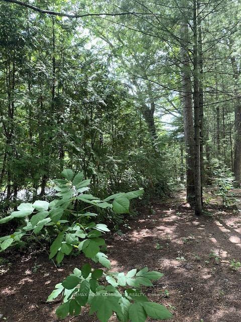 Photo 6 of 341 Tiny Beaches Road N, Tiny, Rural Tiny — HOMEH