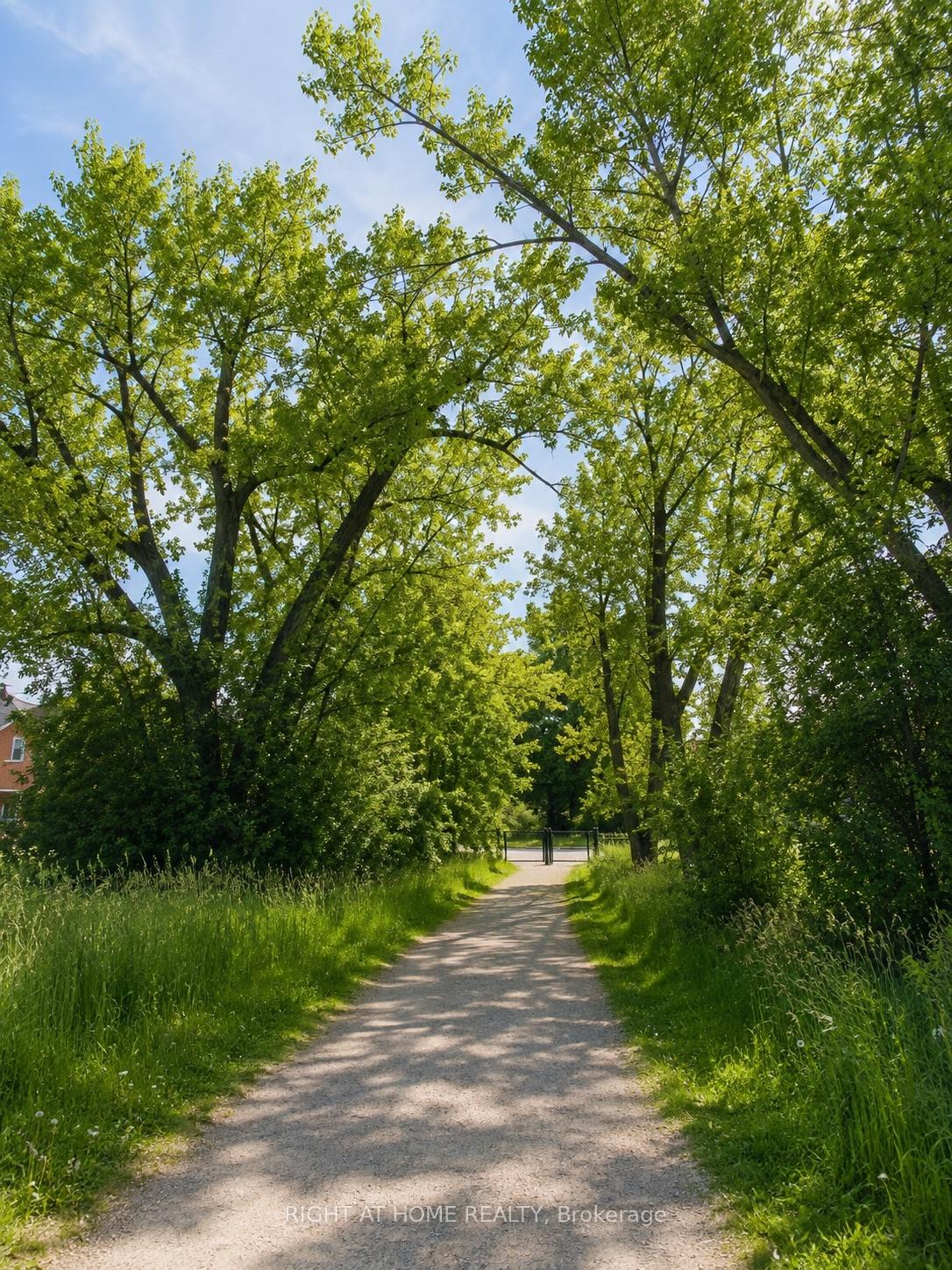 Photo 18 of 39 Pexton Avenue, Richmond Hill, Jefferson — HOMEH