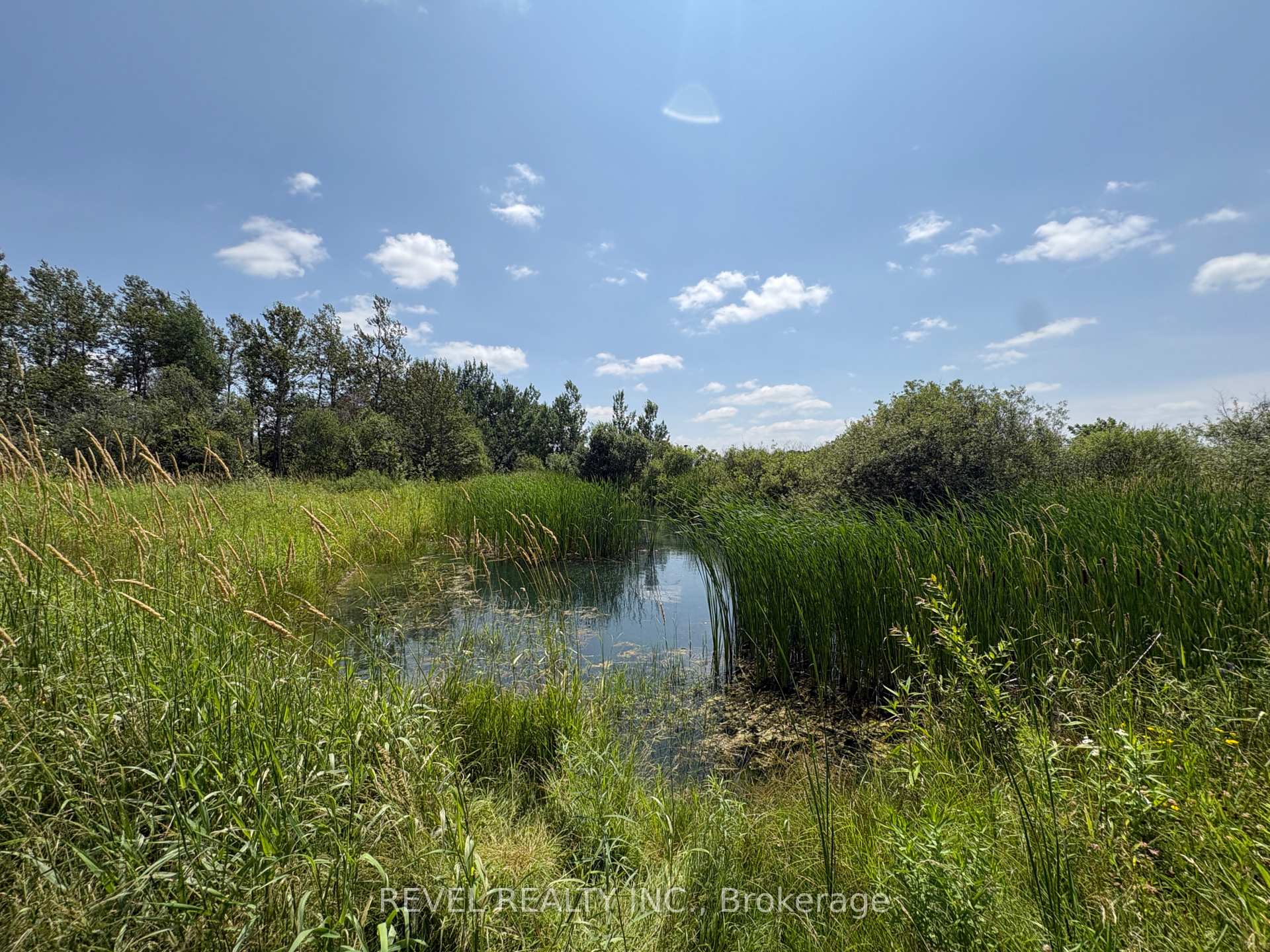 Photo 24 of 180118 Grey Road 9, Southgate — HOMEH