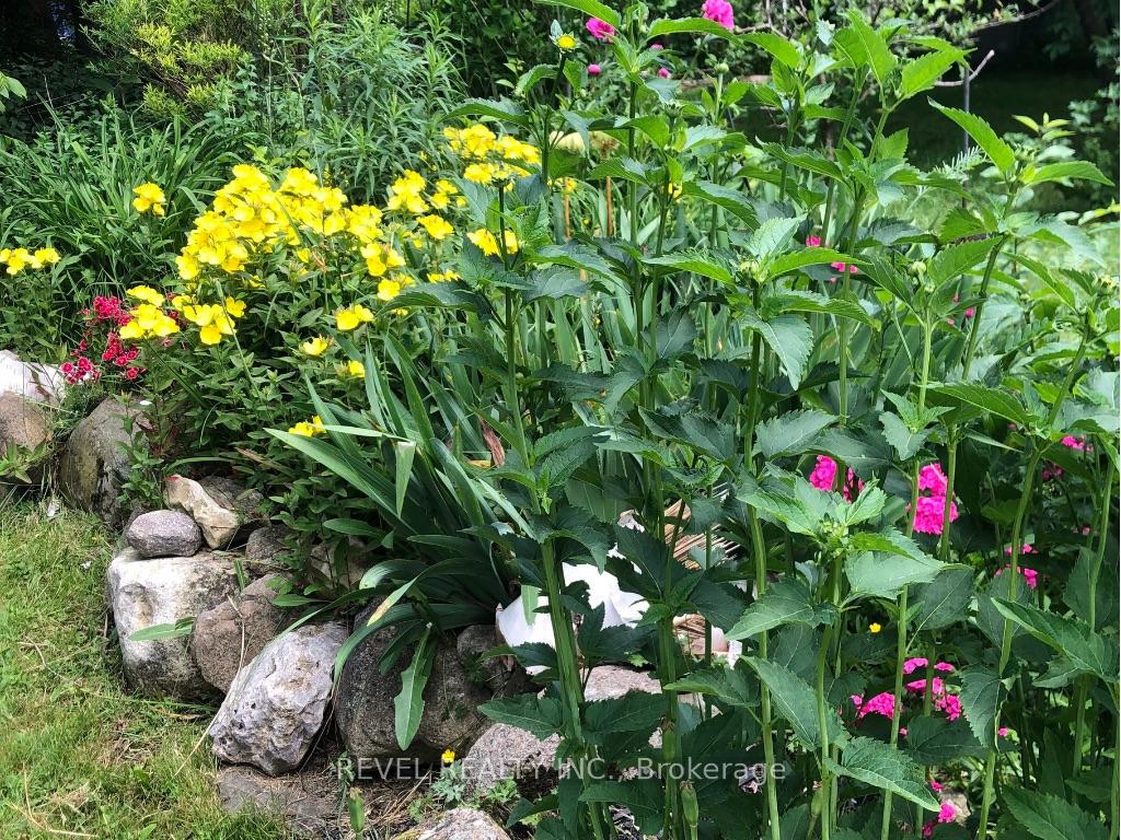 Photo 25 of 180118 Grey Road 9, Southgate — HOMEH