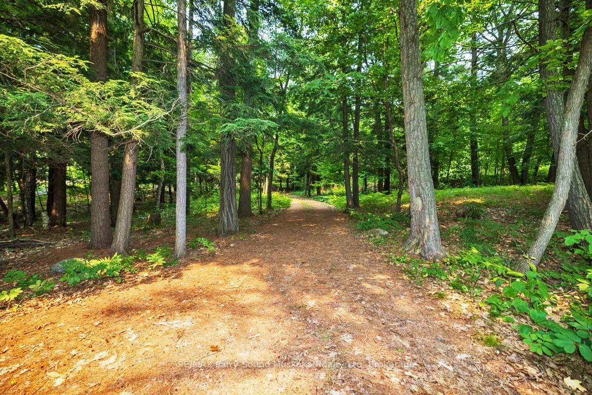 Photo 27 of 231 Blind Bay Cottagers Road, Carling — HOMEH