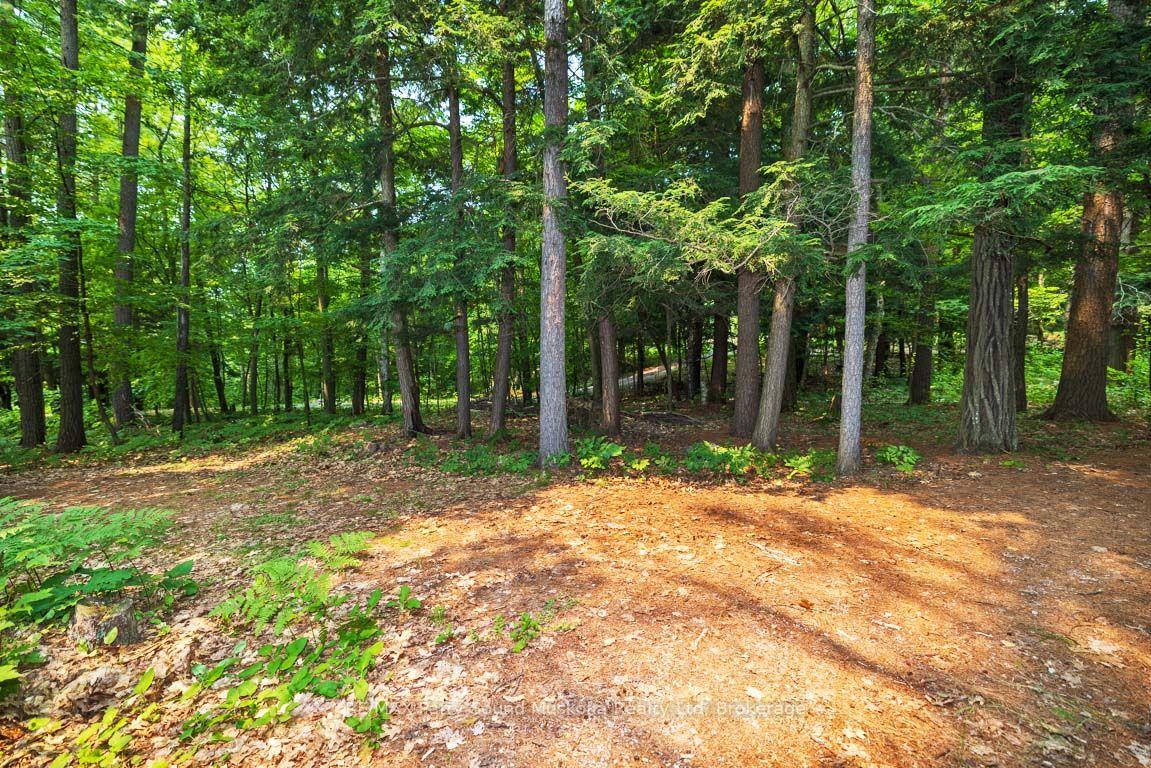 Photo 28 of 231 Blind Bay Cottagers Road, Carling — HOMEH
