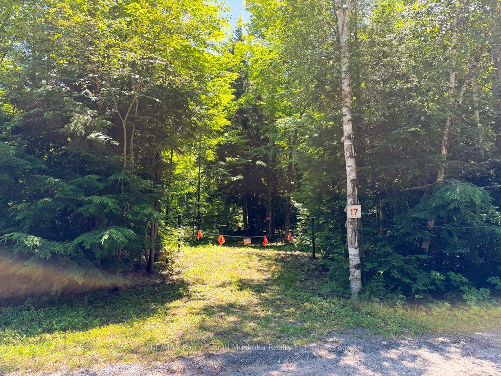 Photo of 17 White Beaver Trail