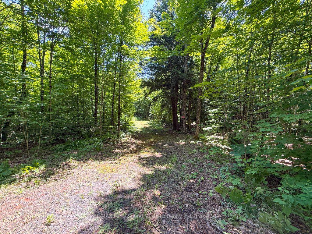 Photo 2 of 17 White Beaver Trail, McDougall — HOMEH
