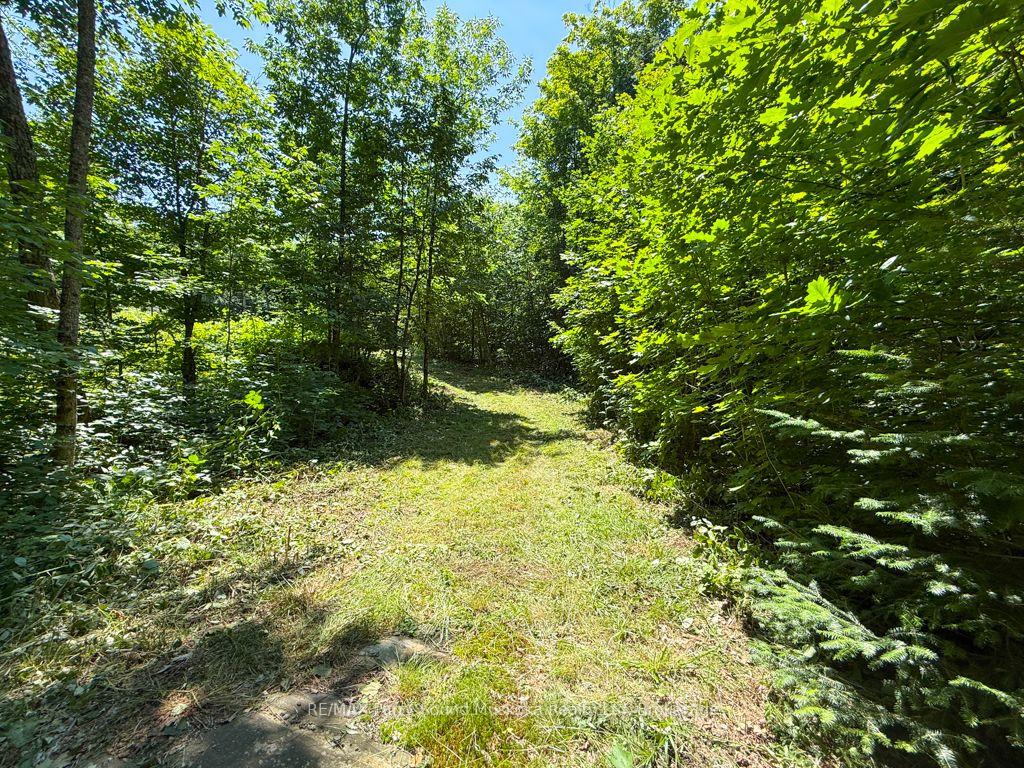 Photo 3 of 17 White Beaver Trail, McDougall — HOMEH