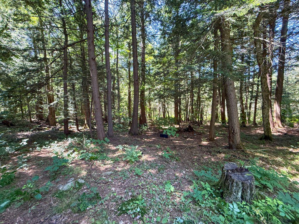 Photo 6 of 17 White Beaver Trail, McDougall — HOMEH