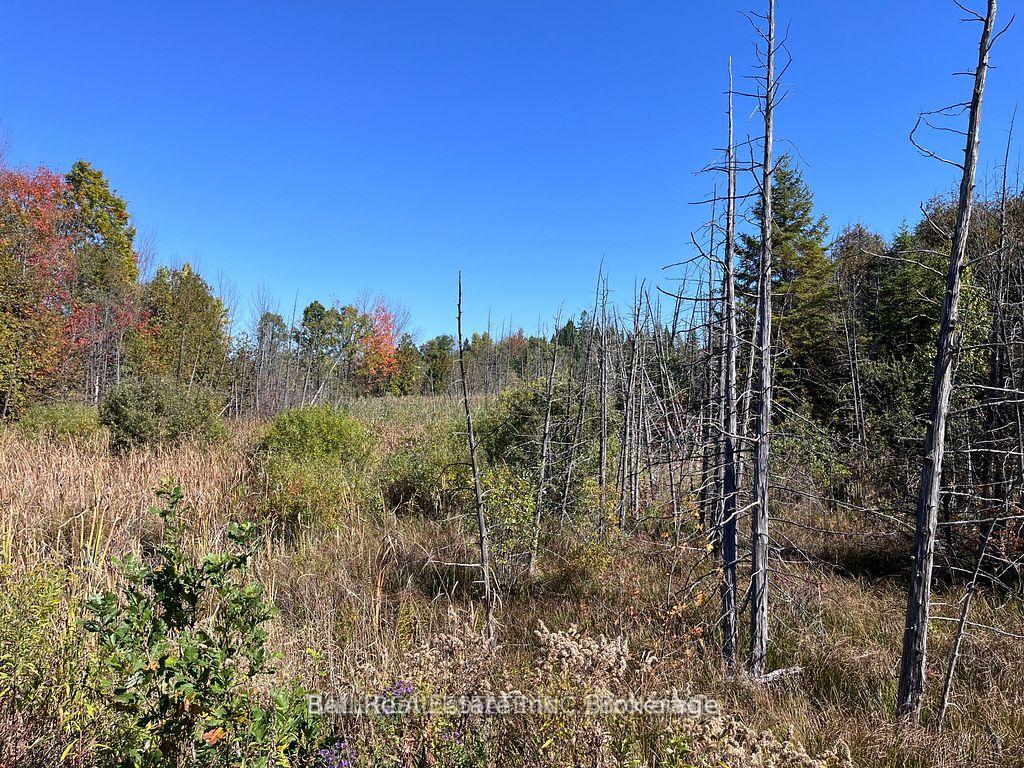 Photo 2 of 00 Koa Road, Marmora and Lake, Marmora Ward — HOMEH