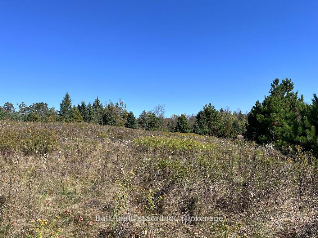 Photo 3 of 00 Koa Road, Marmora and Lake, Marmora Ward — HOMEH