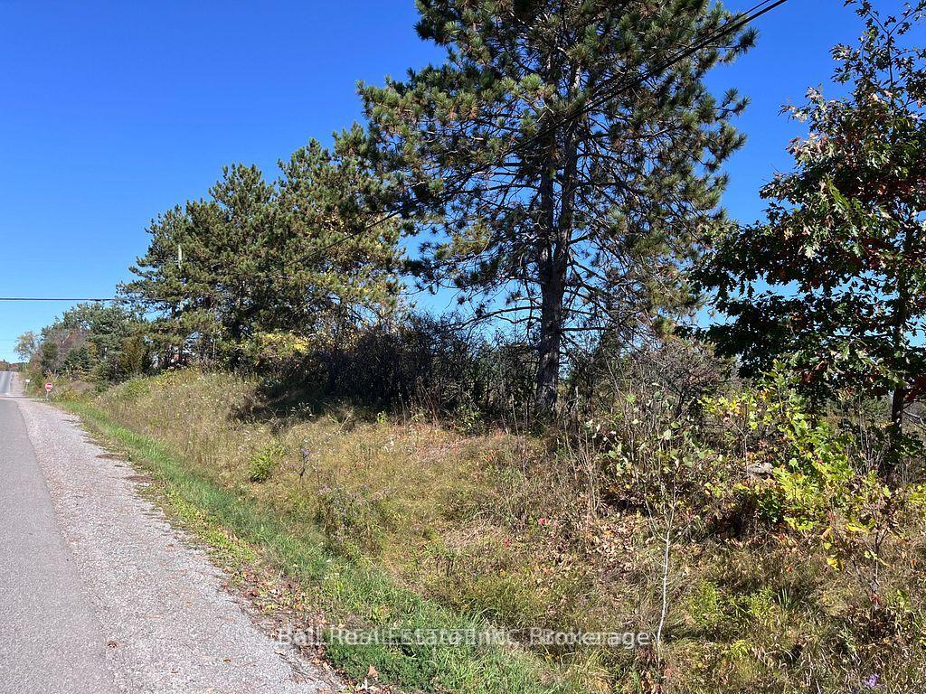 Photo 4 of 00 Koa Road, Marmora and Lake, Marmora Ward — HOMEH