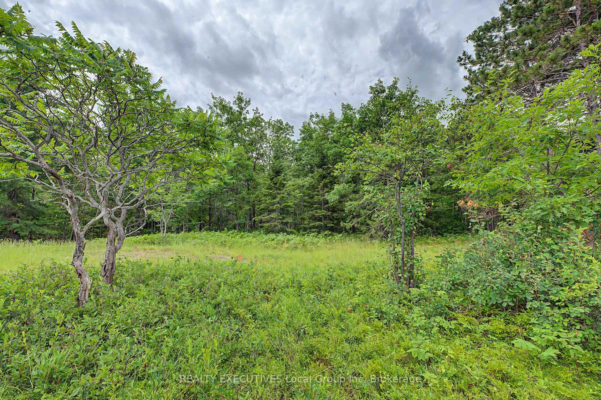 Photo 11 of 672 Tillicum Bay Road, Callander — HOMEH