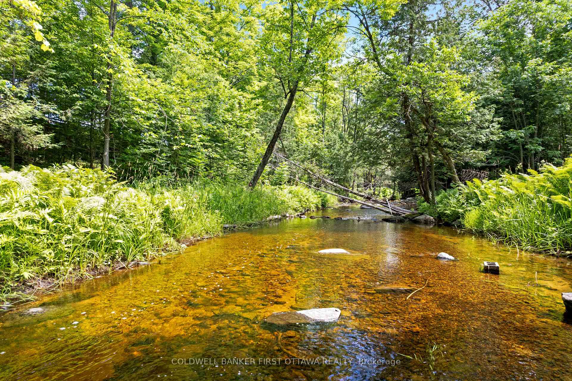 Photo 38 of 294 Lavant Mill Road, Lanark Highlands, Lanark Highlands (Dalhousie) Twp — HOMEH