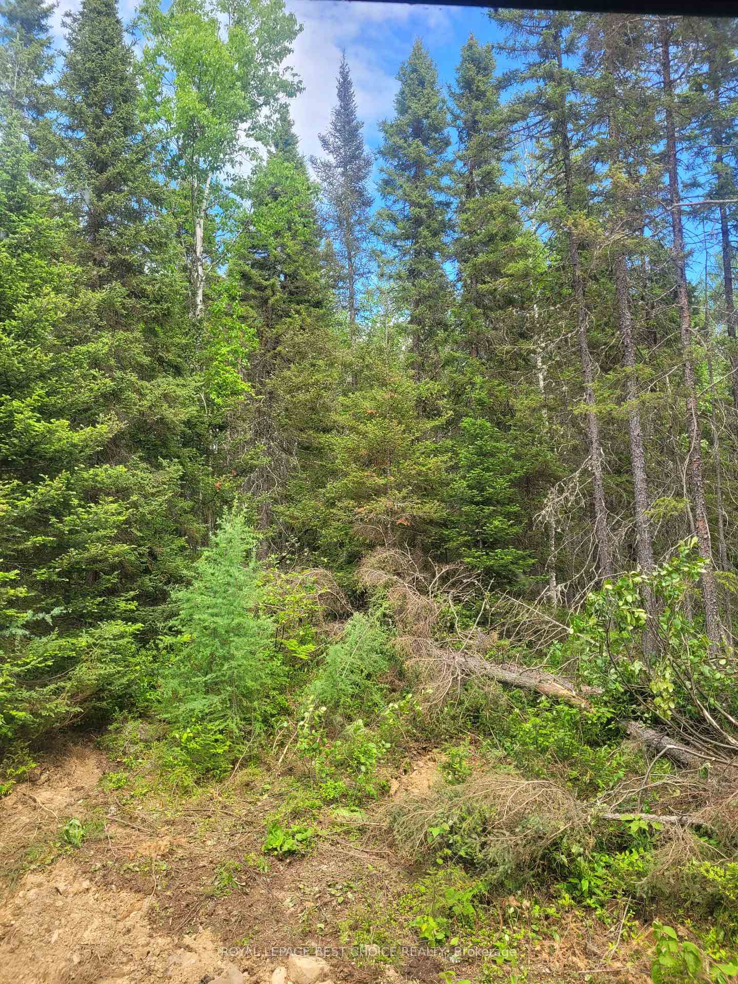 Photo 13 of 10593 McGarry Twp, Timiskaming, TIM - Outside - Rural — HOMEH