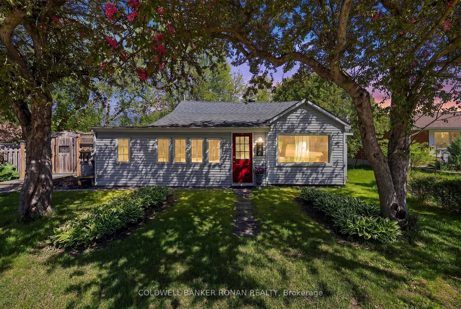 Photo of 246 Weir Street