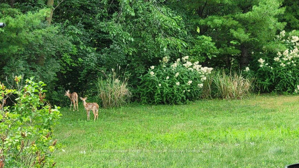 Photo 36 of 24 Mullen Drive, Brockton — HOMEH