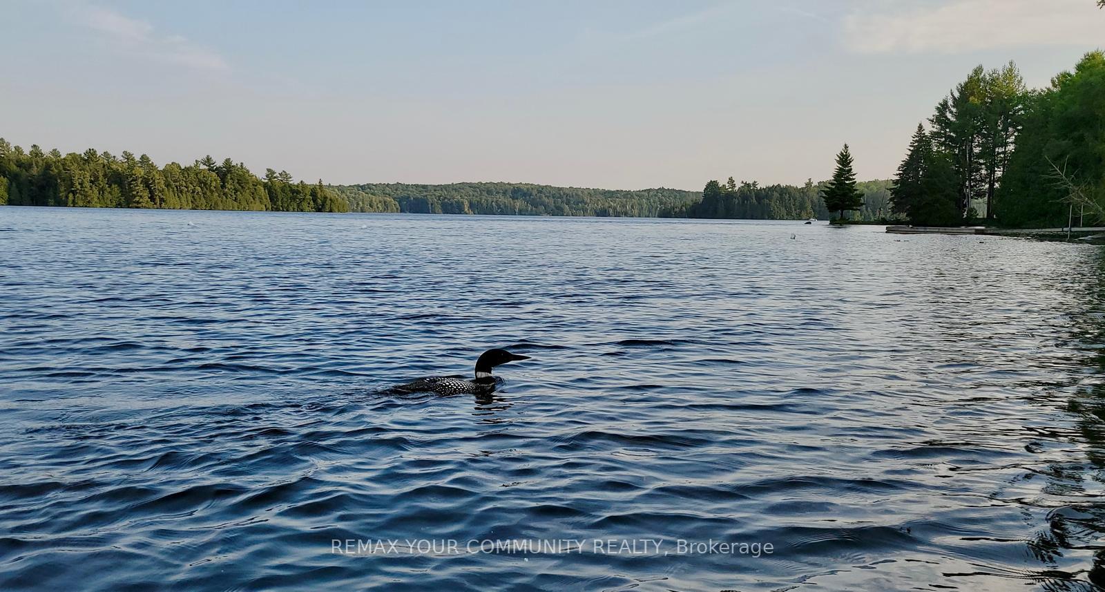Photo 25 of Unit 342, 35 Fire Route, Trent Lakes — HOMEH