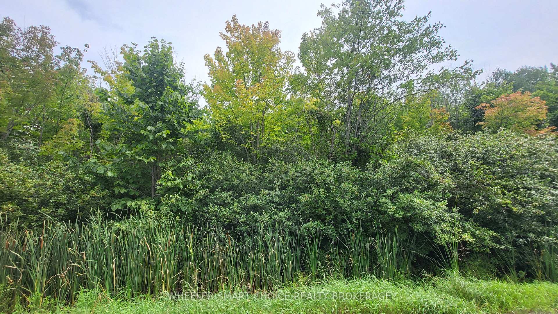 Photo of Lot 6 Tolmies Corners Road