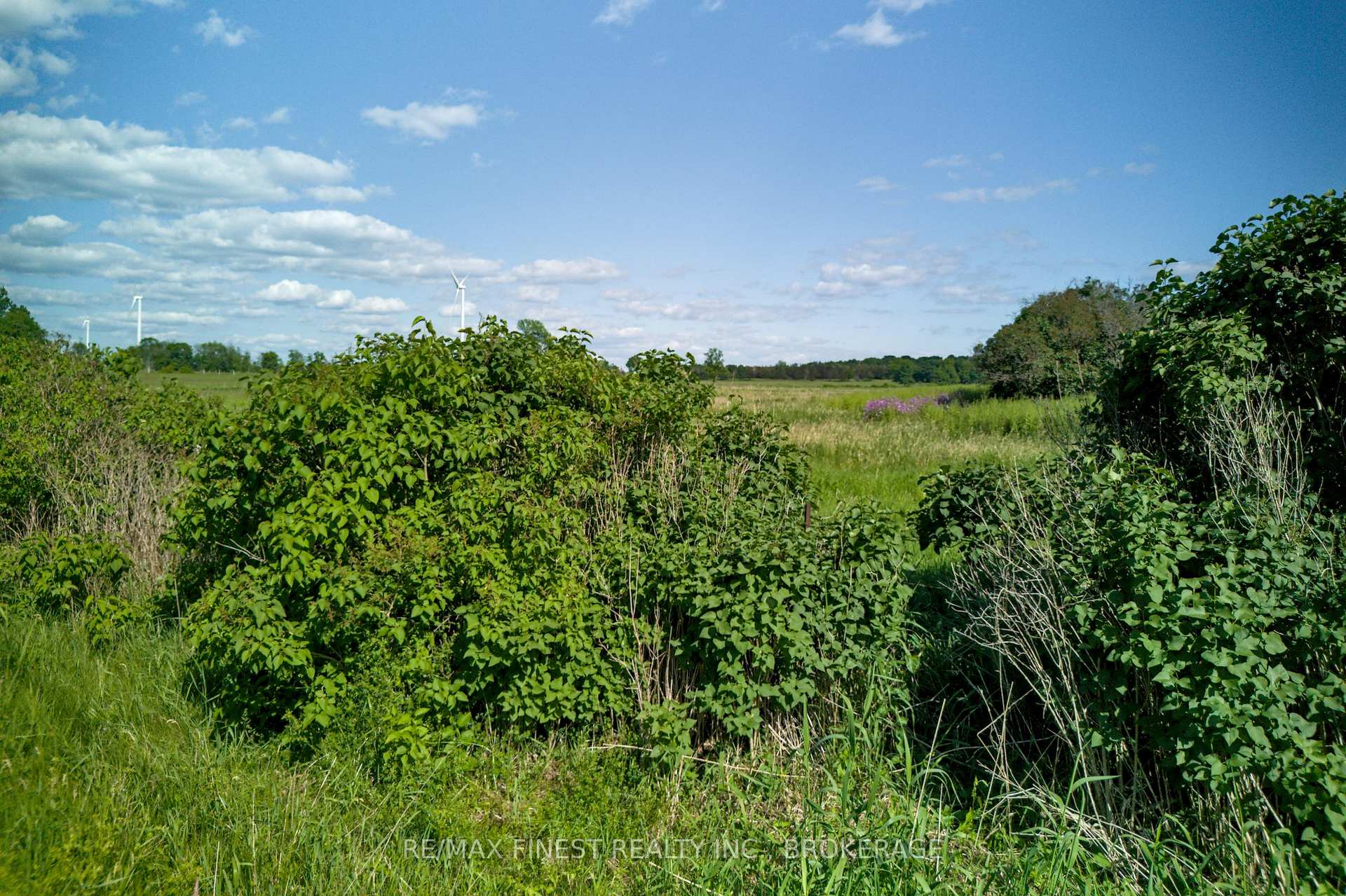 Photo 32 of Lot 13 Front Road, Loyalist, Amherst Island — HOMEH