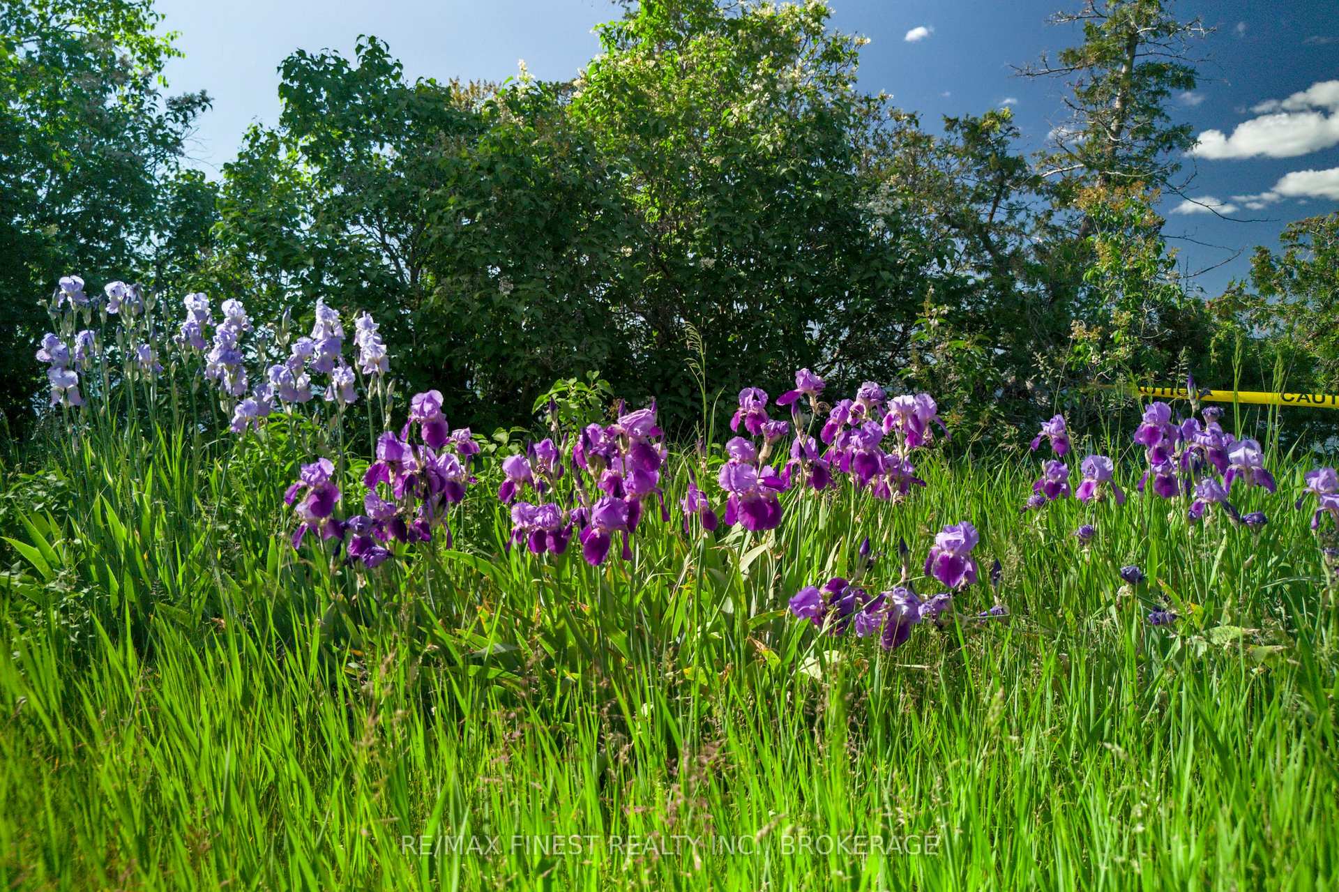 Photo 34 of Lot 13 Front Road, Loyalist, Amherst Island — HOMEH