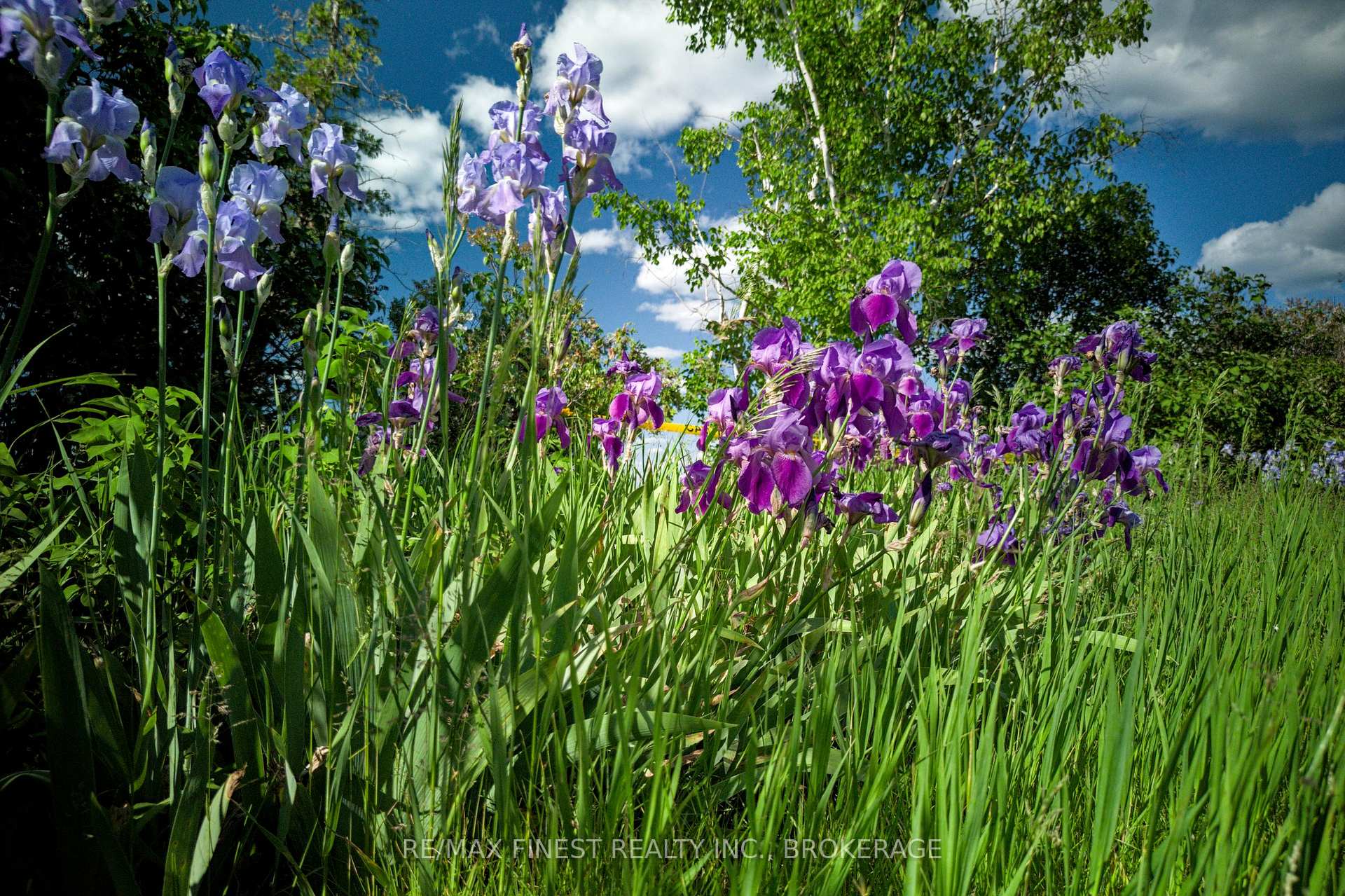 Photo 36 of Lot 13 Front Road, Loyalist, Amherst Island — HOMEH