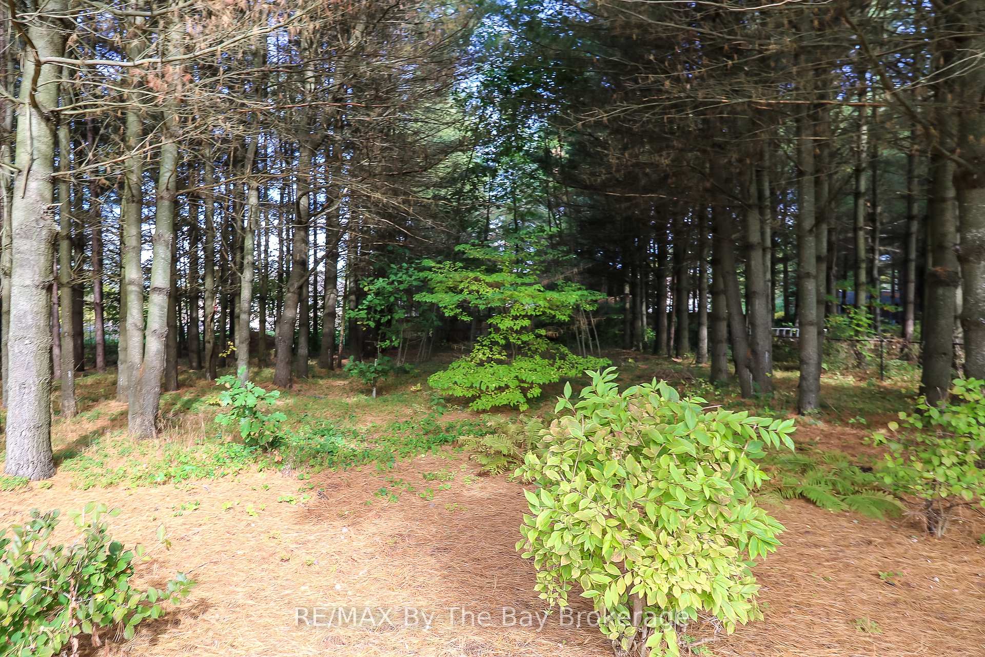 Photo 43 of 60 Martyn Drive, Wasaga Beach — HOMEH